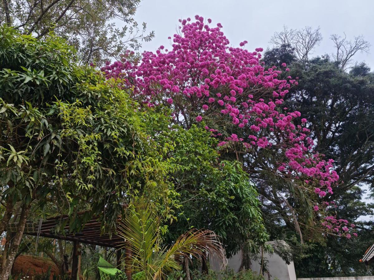 Pousada Descobrindo A Vida บรูมาจิโญ ภายนอก รูปภาพ